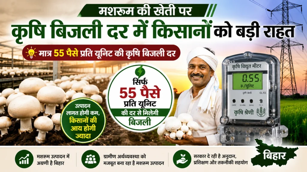 बिहार में मशरूम किसानों के लिए कृषि बिजली दर की घोषणा का प्रतीकात्मक चित्र