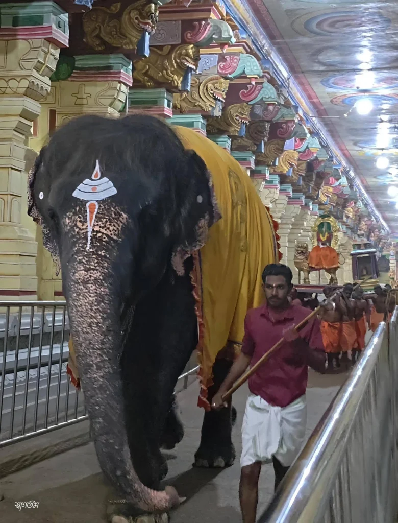 रामेश्वरम ज्योतिर्लिंग: श्रीराम ने क्यों की थी महादेव की पूजा? जानिए कथा और मंदिर की खासियत
